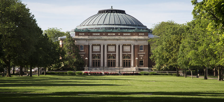 Papa Bear University of Illinois Alumni Association