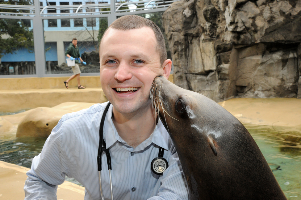 Illinois alumnus on geriatric animal life at Brookfield Zoo University