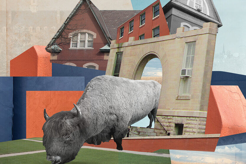 Photo illustration of a bison and a building