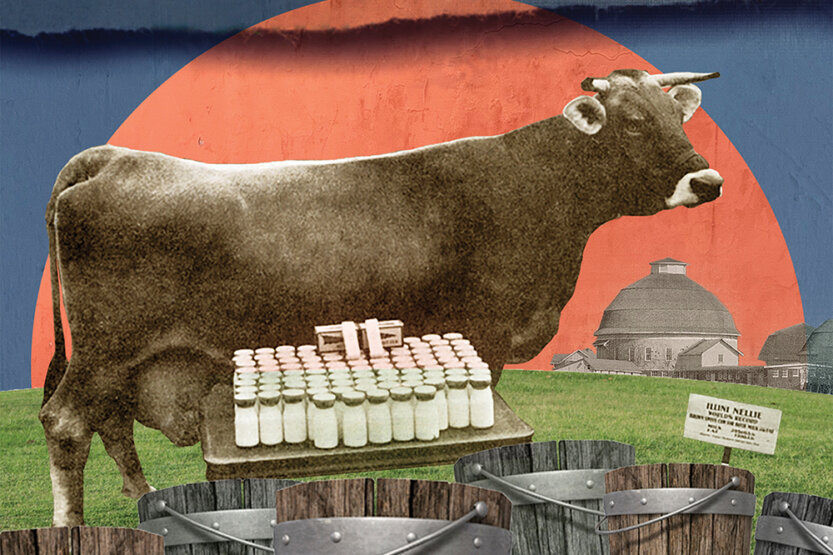 Photo illustration of a cow, milk jugs, wooden buckets and round barns.