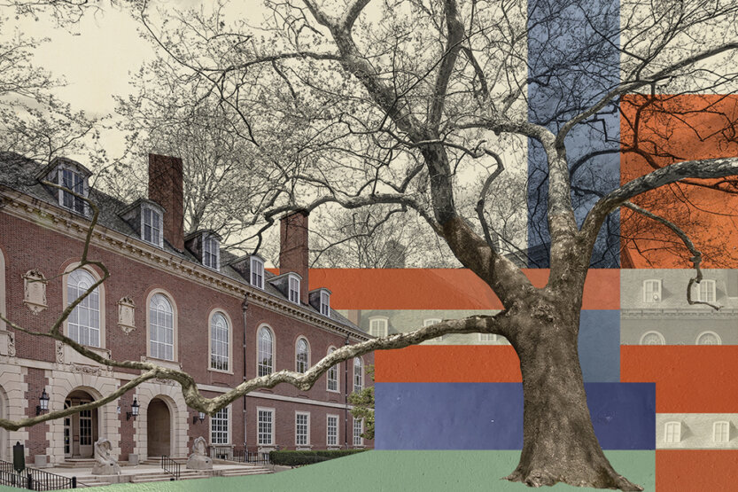 Collage of tree and library building