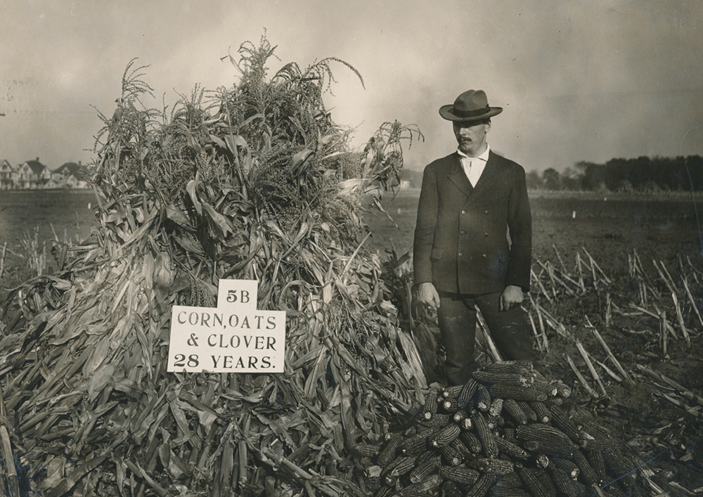 historic image of a man in a crop field